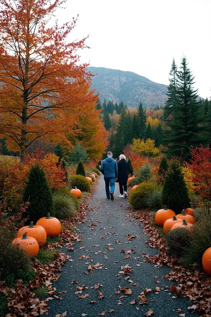 Las imágenes de otoño de la mañana son vibrantes y serenas