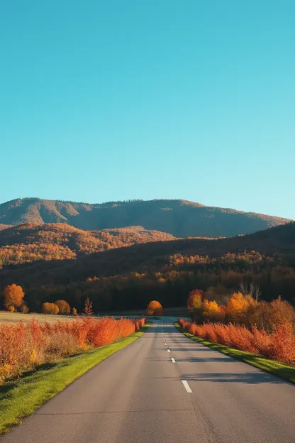 Las imágenes de otoño por la mañana son tan buenas