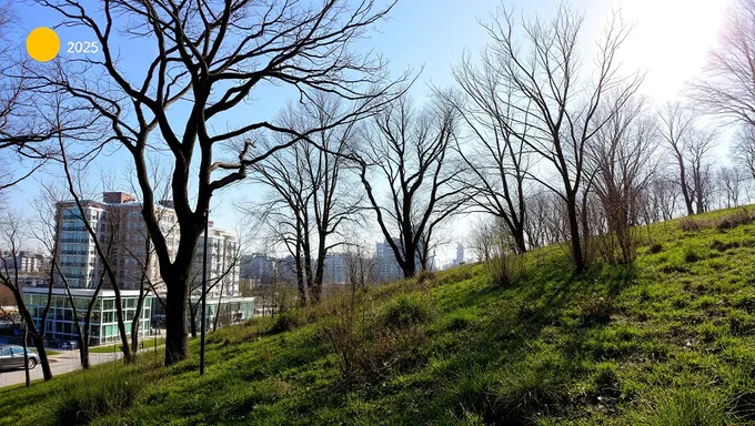 Llega el Primer Día de Primavera en 2025