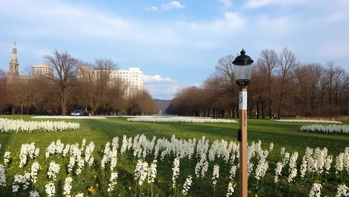 Llega el primer día de primavera 2025 en los Estados Unidos