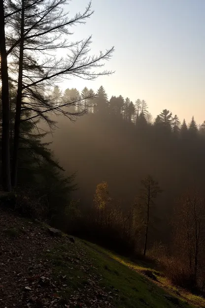 Mañana de la naturaleza imágenes de serenidad y calma