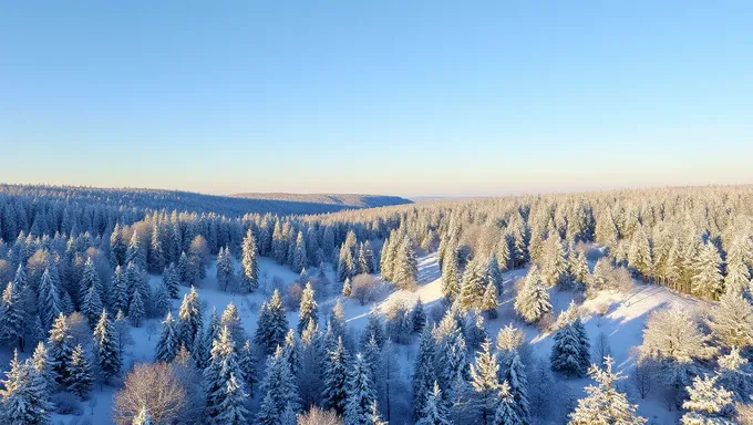 Multiversus 2025: El Efecto de la Pelota de Nieve Creciente