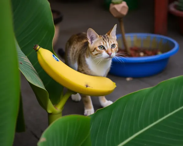 Más fotos de gato plátano