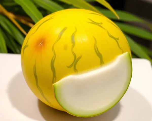 No se encontró Archivo de PNG de Coco Melon