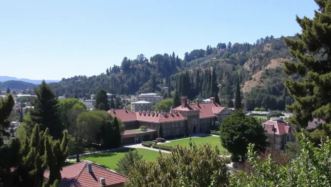 Orientación para la escritura de ensayos complementarios de la Universidad de California en Berkeley 2025-25