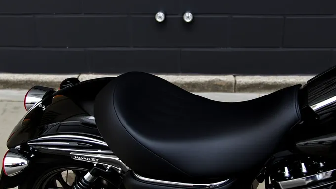 Precio de asiento de Harley FLHX 2025