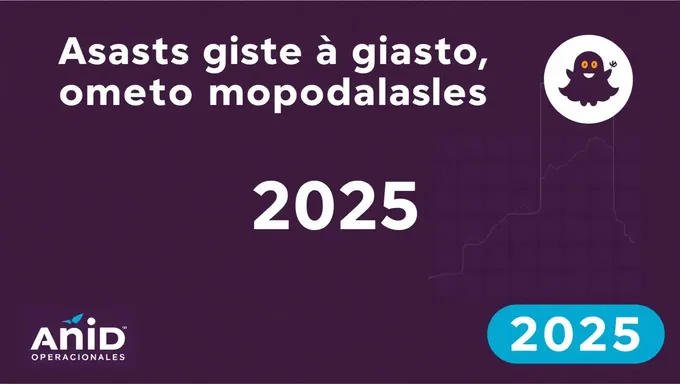 Presupuesto de Gastos Operativos Segunda Convocatoria 2025