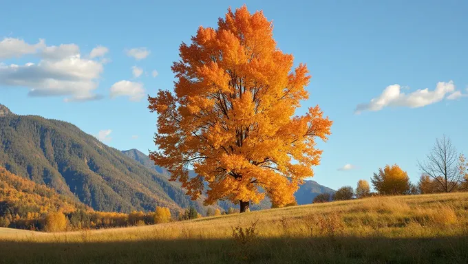 Primero Día de Otoño 2025 Comienza un Nuevo Ciclo