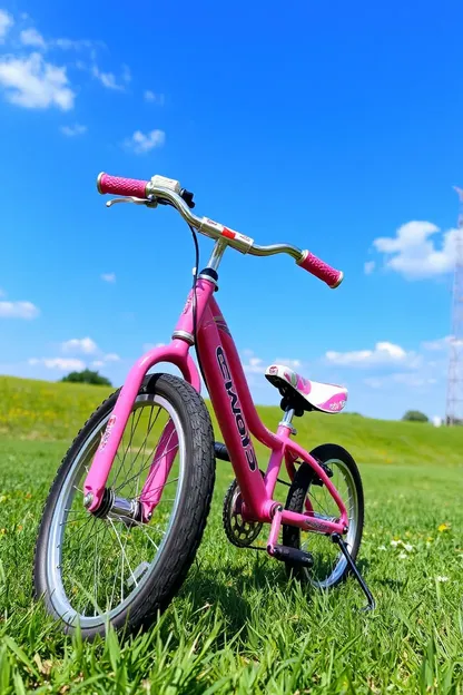 Se encontró una bicicleta para niñas de 16 pulgadas