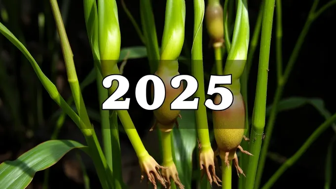 Semillas Oni 2025: Innovación agrícola y tecnología