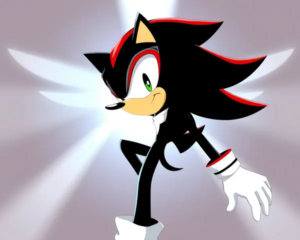 Shadow the Hedgehog imagen PNG descubierta