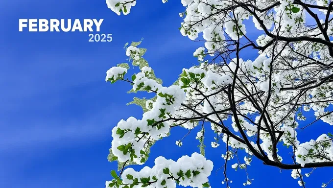 Tendencias climáticas para febrero de 2025 analizados