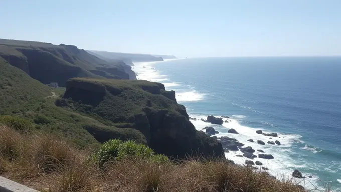 Trampa de Armadilla en el Mar Alto 2025