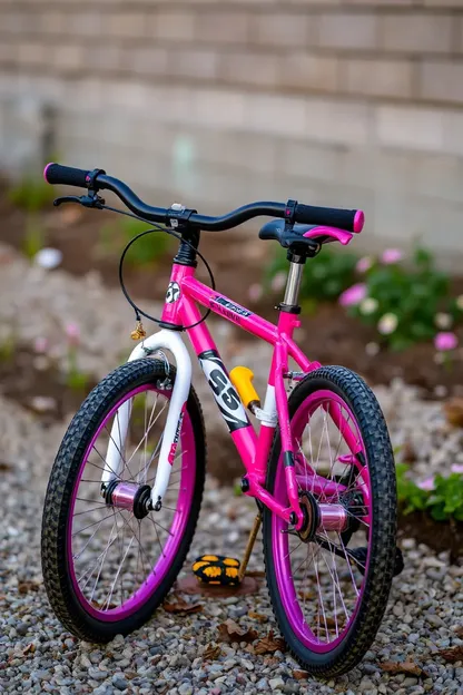 Una bicicleta de 24 pulgadas para chicas, una idea de regalo genial