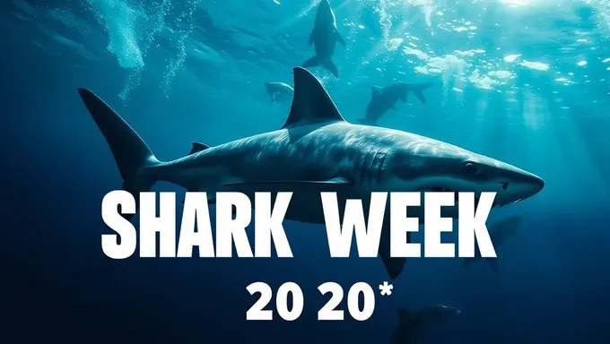 Ver Shark Week 2025 en la TV o en línea