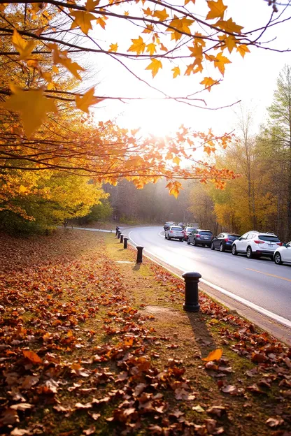 Beaux pictures d'automne pour un bon matin