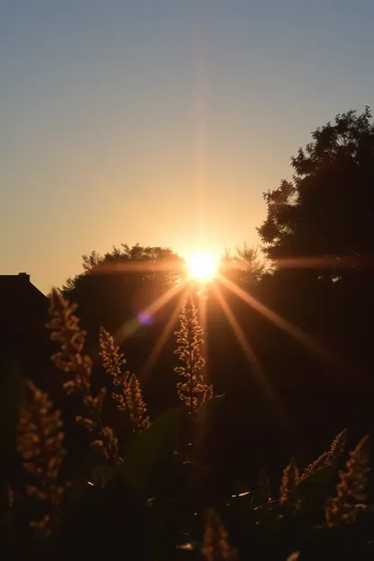 Bon Matin Images de Soleil pour Nouveau Jour