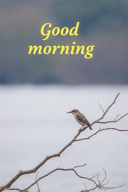 Bon Matin avec Images d'Oiseaux Répétées