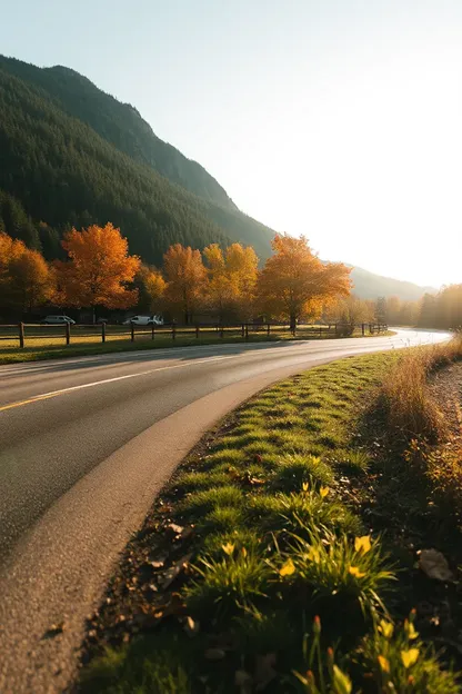 Bon matin, image d'automne : capturer la beauté des couleurs de la nature