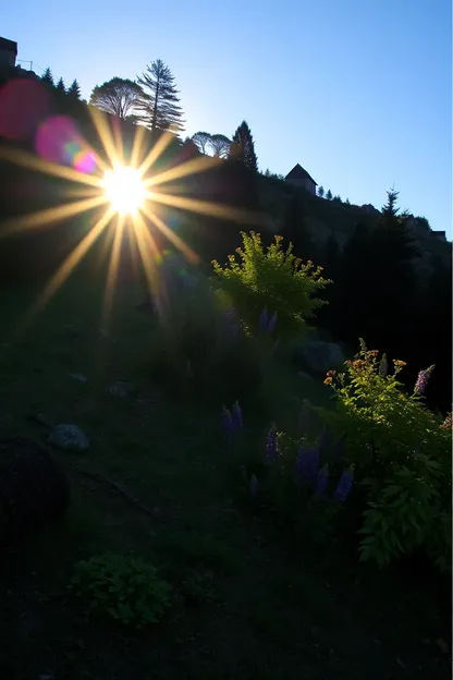 Bon matin, images ensoleillées avec des souvenirs heureux