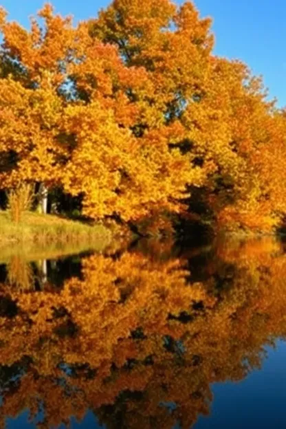 Bonjour, images d'automne, soleil matinal sur des feuilles d'or