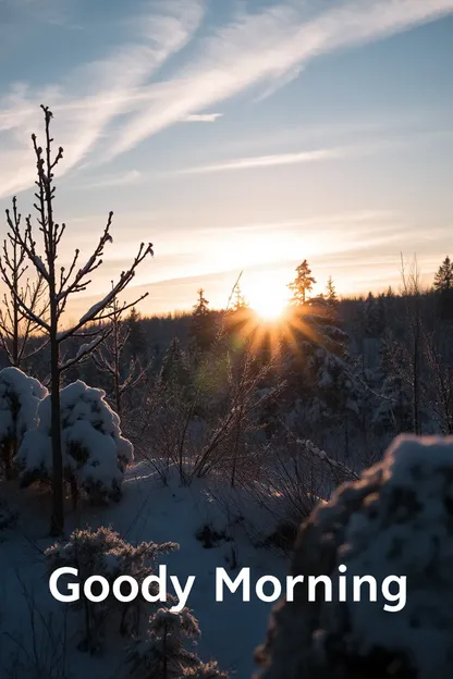 Bonne Journée froides : images du matin sont bonnes