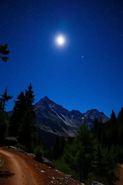 Bonne Nuit Nature pour Calmer l'Esprit