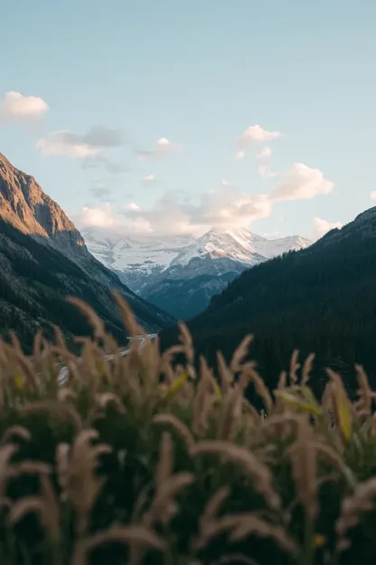 Bonne journée avec des vibrations positives uniquement