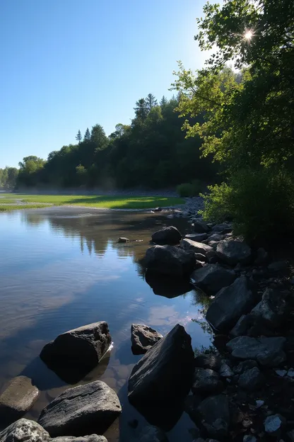 Bonne matin, images de la nature pour un jour magnifique