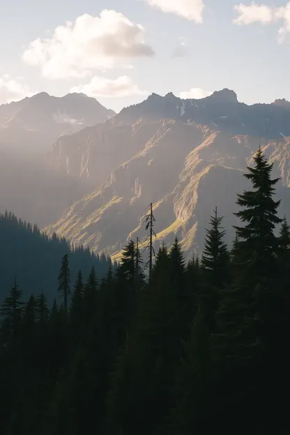 Bonne matin, images de montagne : images de bon matin de montagne