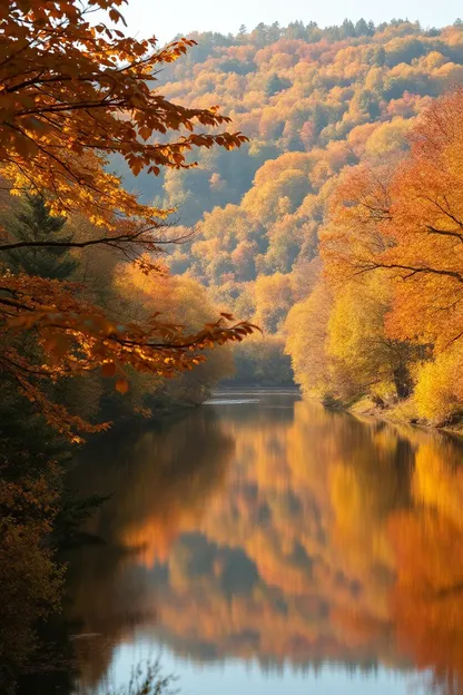 Bonne matinée d'images d'automne pour l'inspiration photographique