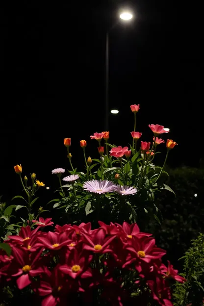 Bonne nuit, fleurs pour faire sourire votre cœur