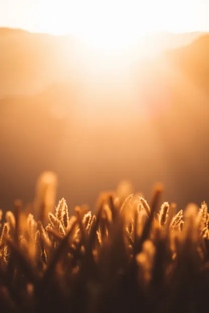 Bonne nuit, images divines de beauté céleste