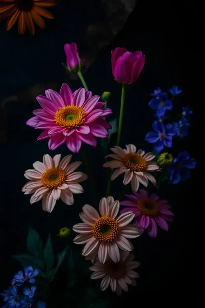 Bonne nuit aux images de fleurs pour des vues de soir calme