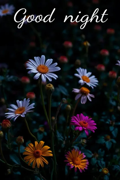 Bonne nuit images de fleurs avec fond d'écran