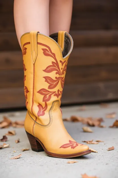 Bottes de cow-girl : style de bottes western classique