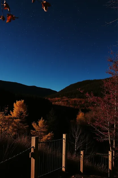 Captivantes images de bonne nuit pour rêver