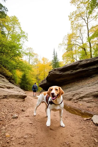 Capturant la beauté naturelle du Parc d'État de Good Earth