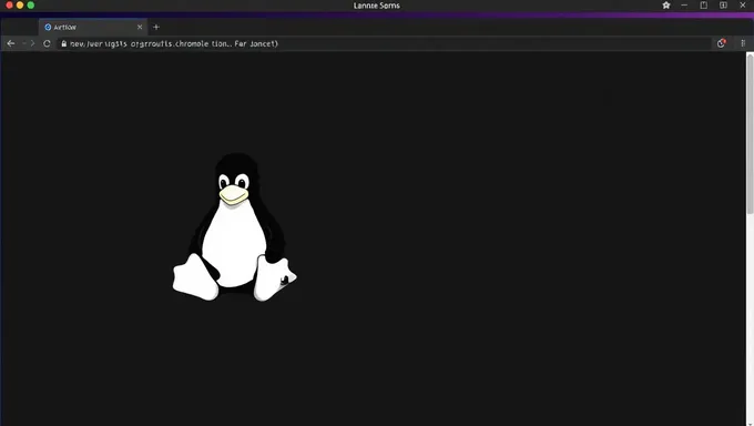 Caractéristiques de sécurité Linux sur Chromebox 7/2025