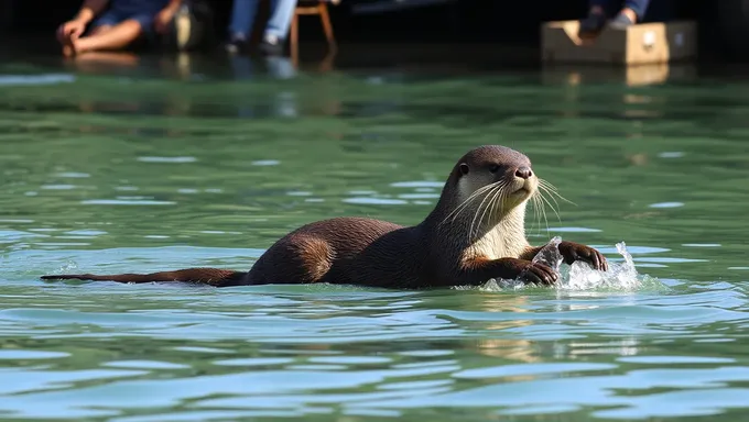 Classique de la Marmotte de mer 2025 : Événement prometteur