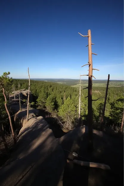 Découvrez les merveilles naturelles du parc d'État de l'Earth