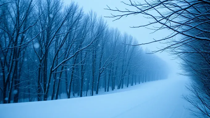 Effet Boule de Neige dans Multiversus 2025 : Conséquences