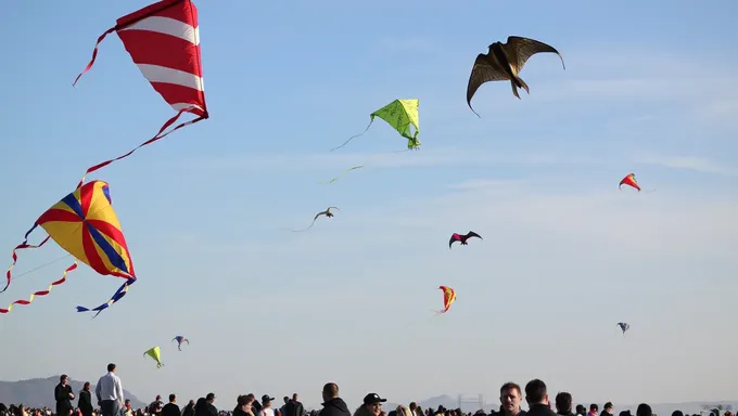 Festival de cerf-volant 2025 apporte la joie aux communautés à l'échelle mondiale