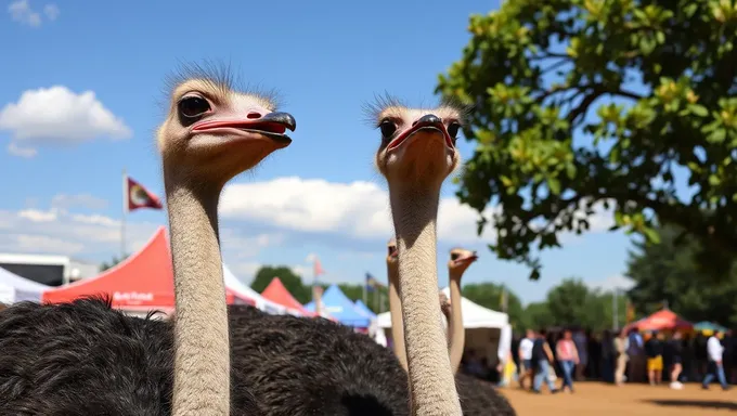 Festival des autruches 2025 : divertissement pour tous les âges attendu