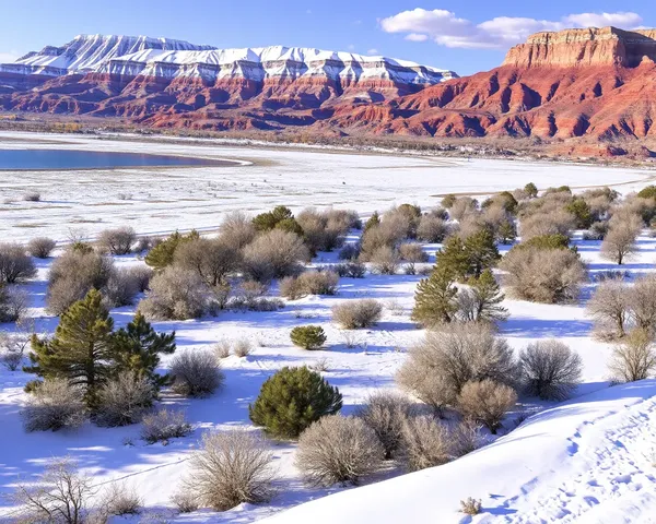 Fichier PNG de Nevada disponible en haute qualité