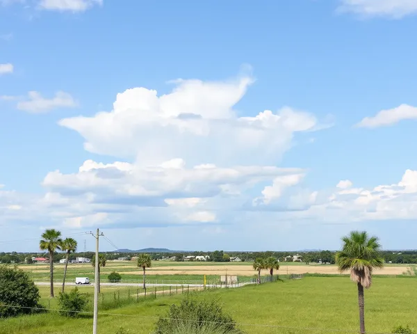 Fichier PNG de Texas récupéré dans le système de Texas