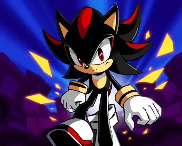 Image PNG de Shadow the Hedgehog trouvée