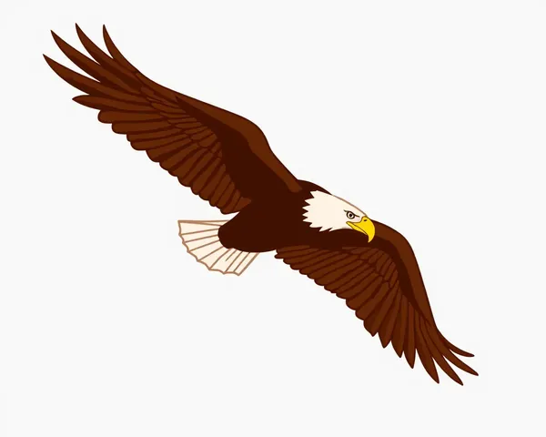 Images d'Aigles PNG Format pour l'Art Numérique