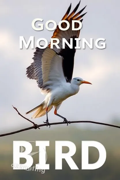 Images d'Oiseaux de Bon Matin pour Commencer