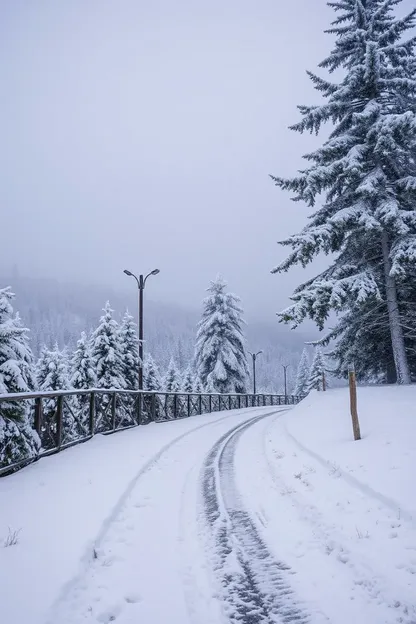 Images de bon matin avec neige et photographie d'inspiration pour un paysage d'hiver